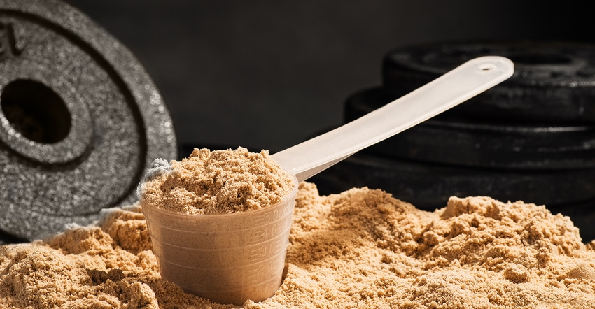 labor day sales sports nutrition proteins supplements - Monetha